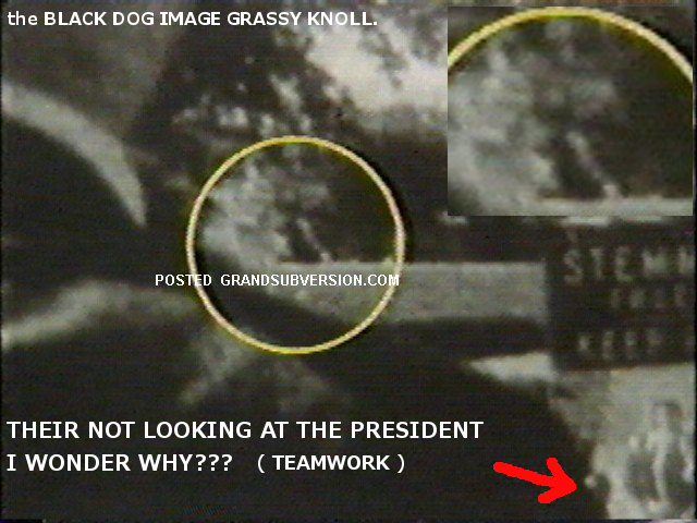 JFK Assassination kennedy grassy knoll conspiracy who killed gun man black dog photos picture image